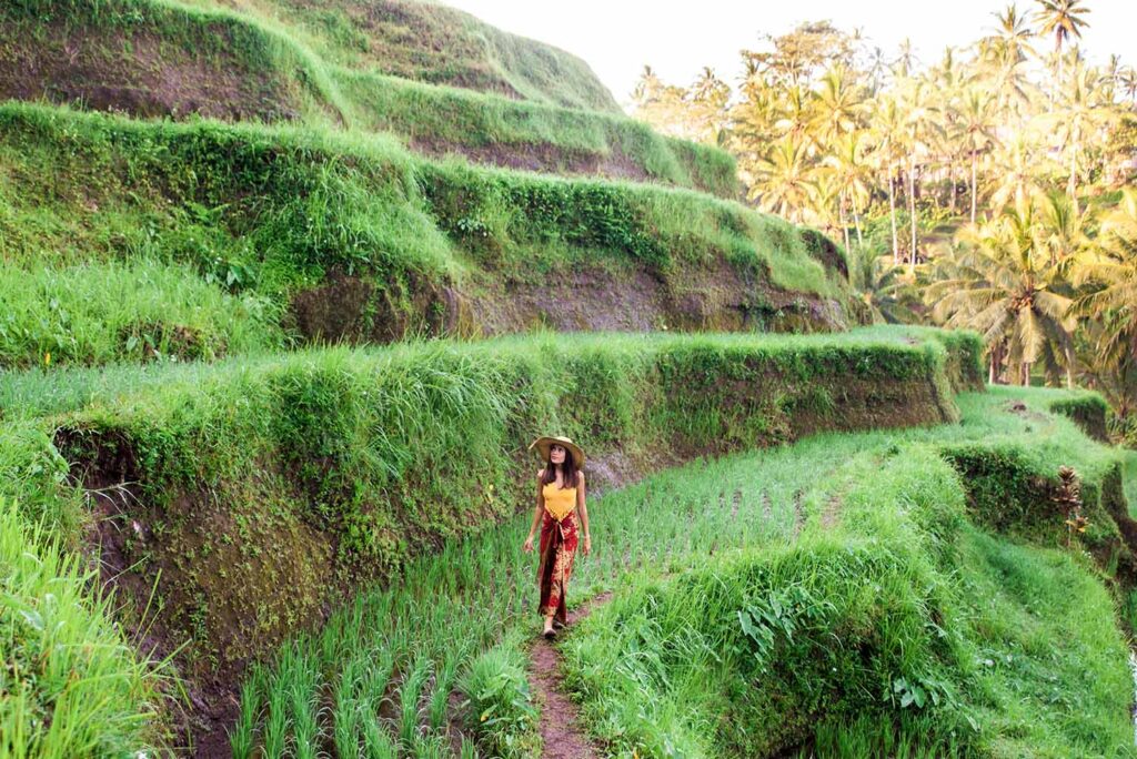 Bali View Ubud